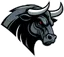Birmingham Bulls