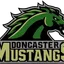 Doncaster Mustangs